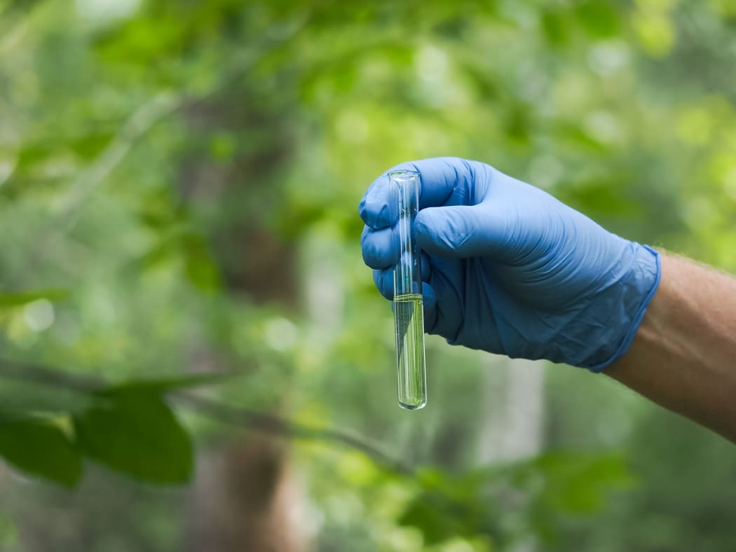 Gloved hands holding a test tube of clear liquid. Natural background - grass, trees. In vitro water, forests reflection. Concept - clean water, water quality, ecology, environment