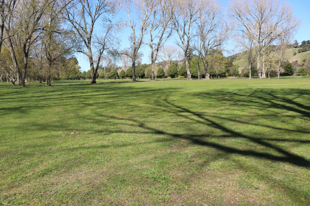 Eskdale Park could turn into a mountain bike park under a Hastings District Council proposal.
