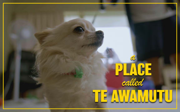 There is no place like te awamutu episode 10 thumbnail
