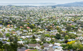 View from above of residential streets and houses   housing in Auckland.
