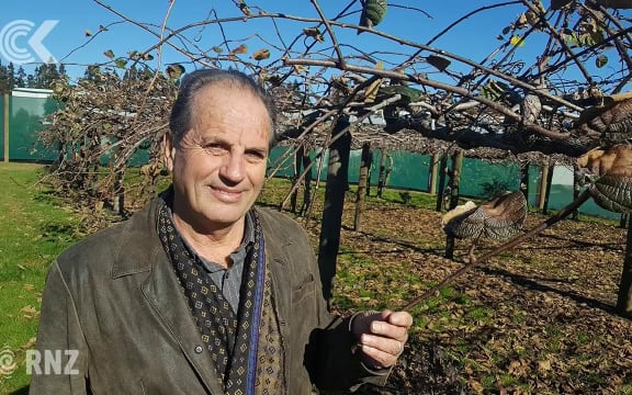 Kiwifruit industry wins part of case against govt over PSA disease