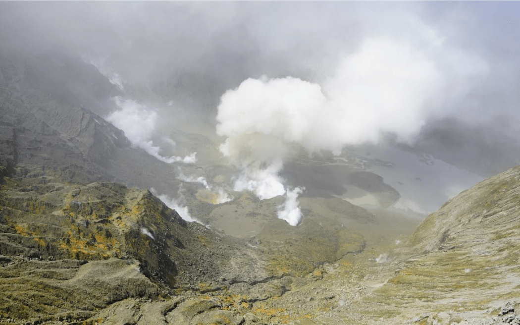 View on 16 November 2020 of steam, gas and ash emission from the 2019 primary vent area of the Whakaari/White Island crater.