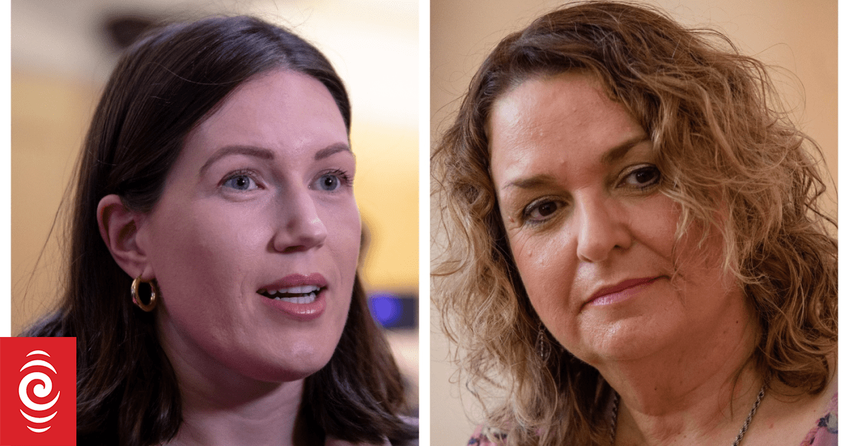 Labour, Port of Auckland back plan for a new taxpayer-funded agency to provide delegate training