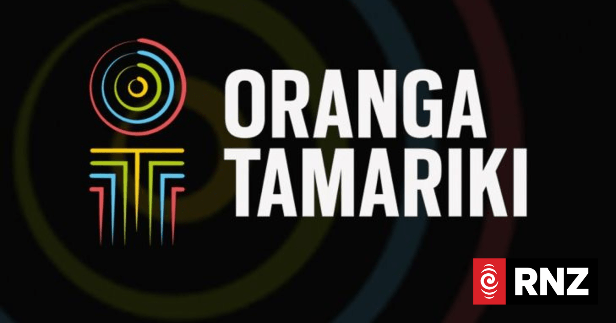 Pay Equity for Oranga Tamariki Social Workers | RNZ