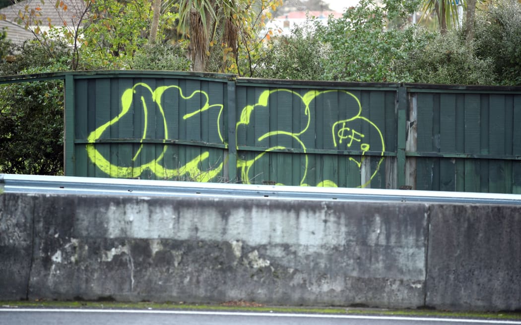 SH2 graffiti in Tauranga - single use only