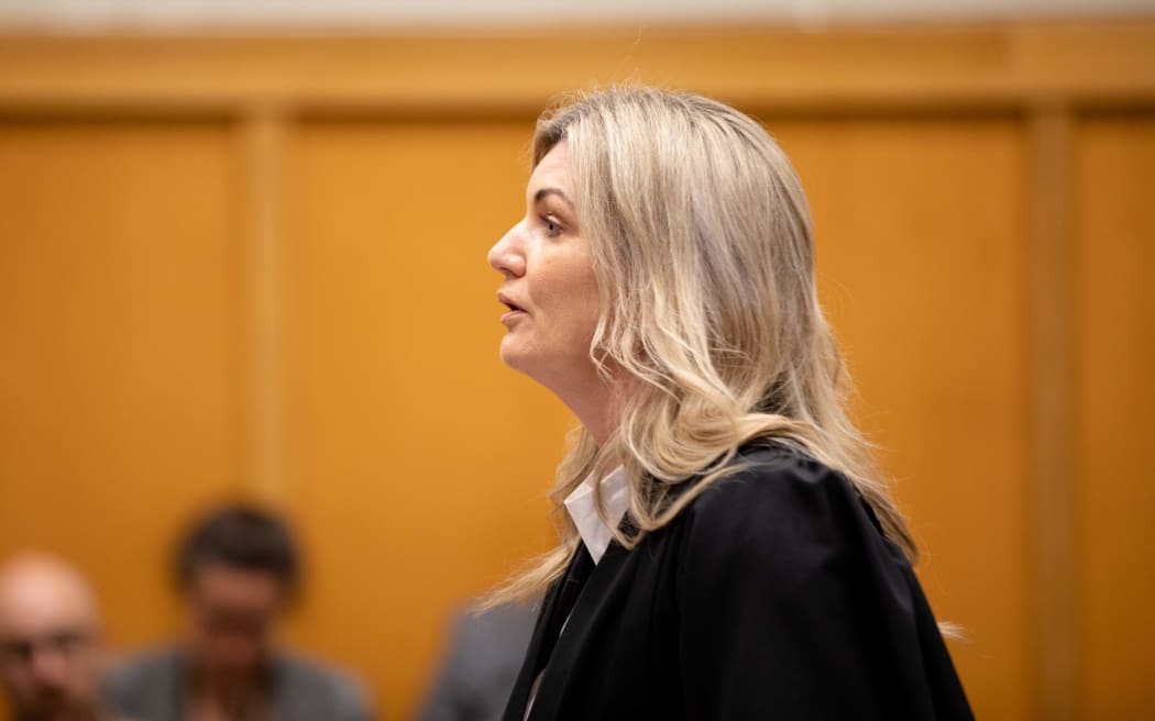 Prosecutor Jacinda Hamilton