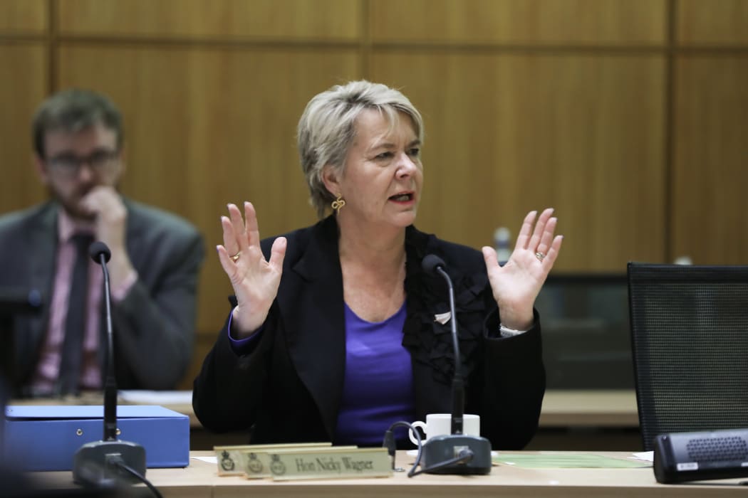 National MP Nicky Wagner in Select Committee