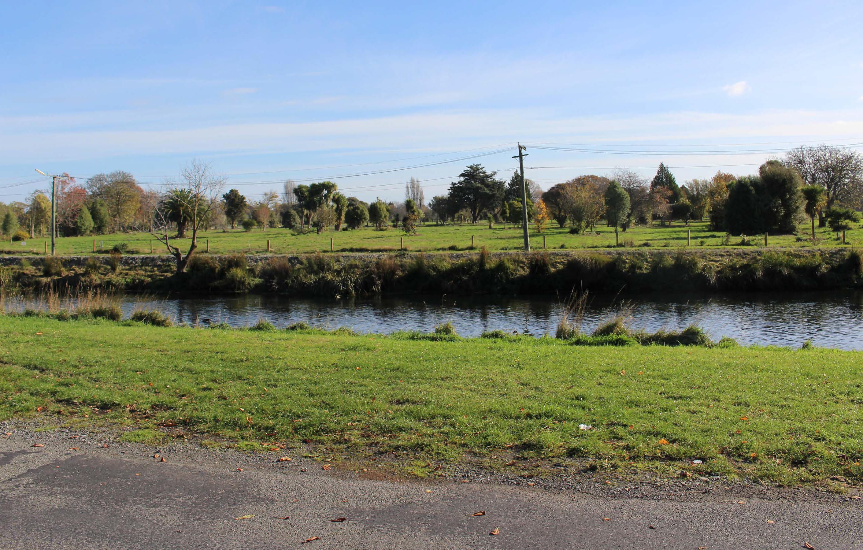 Greening the Redzone proposes turning 450 hectares of red zone land into a native forest and wetland.
