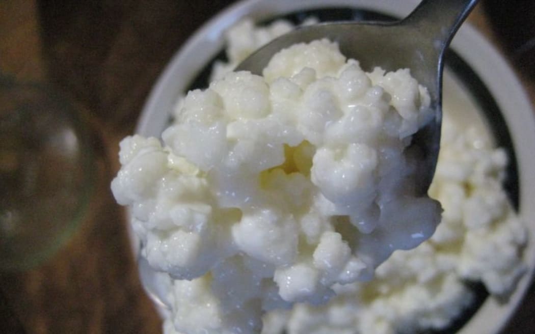 kefir