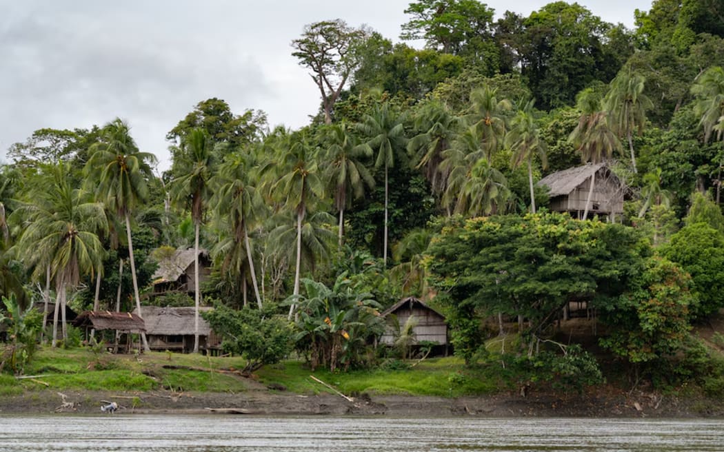 Villagers in remote parts of PNG lead a largely subsistence lifestyle, growing their own food. (Foreign Correspondent: Natalie Whiting)