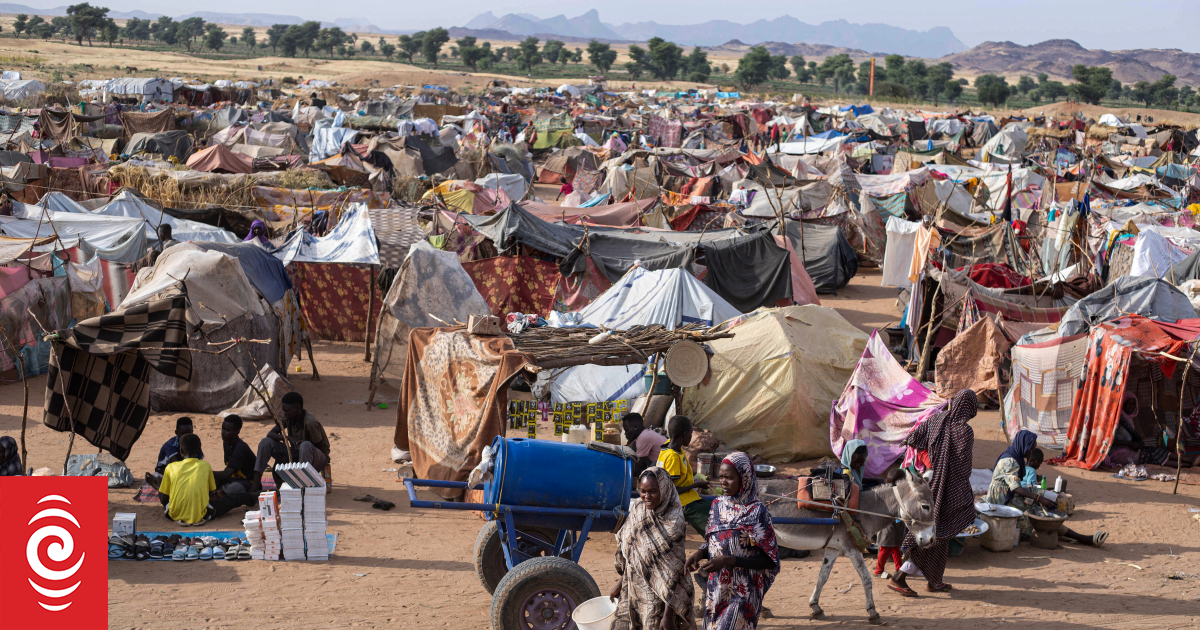 RSF actions in Sudan's al-Fashir points to genocide, UN probe says ...