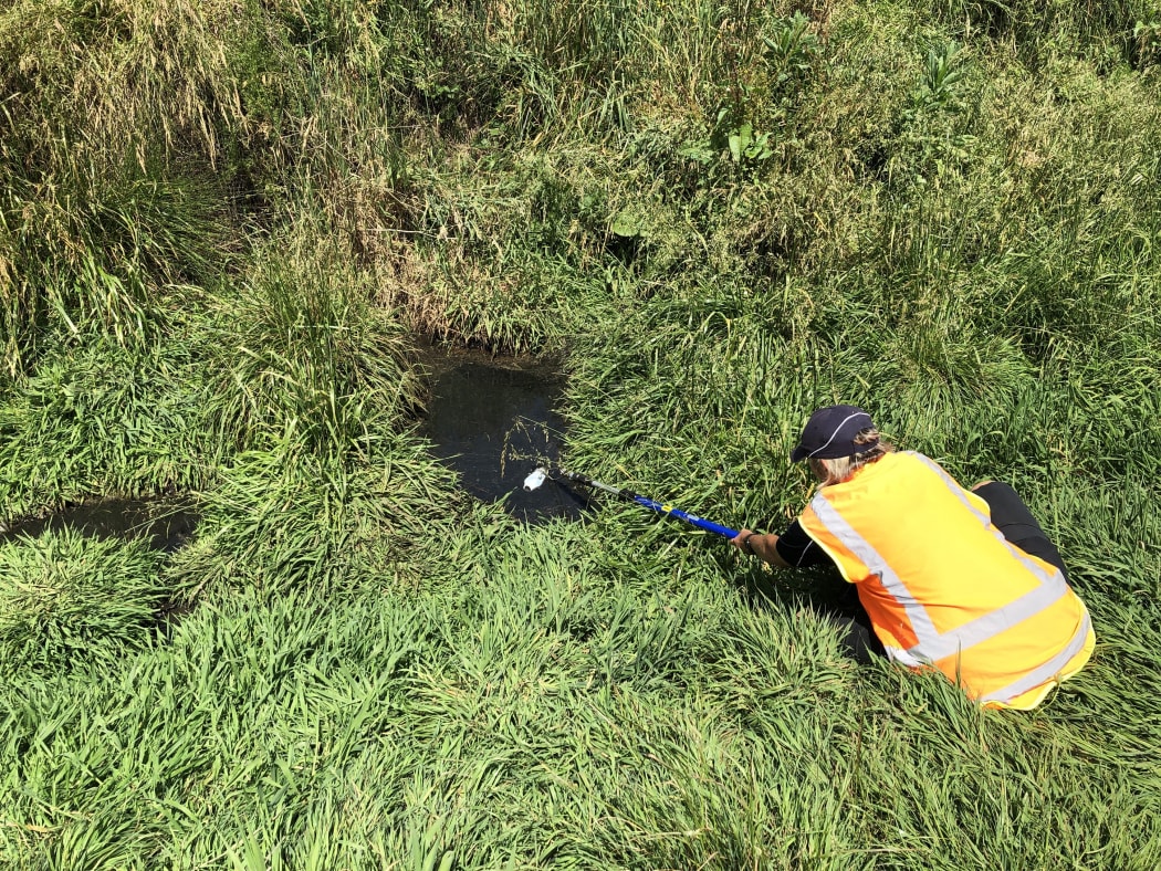 Waikato effluent sampling.
