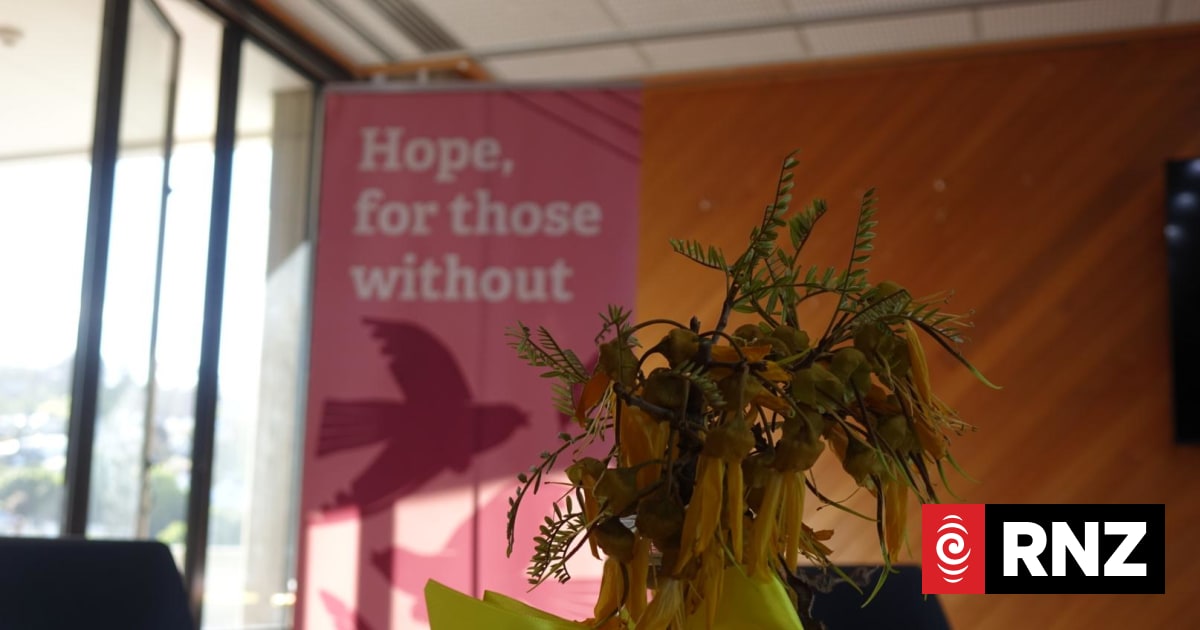 Refuge facing 'unprecedented demand' seeks new safe house