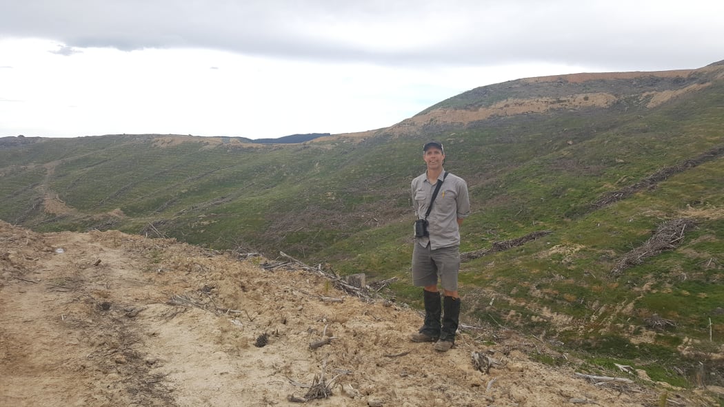 Graham Parker stands in a pine plantation that was harvested two years ago, and is a 'perfect' nesting and hunting territory for NZ falcons.