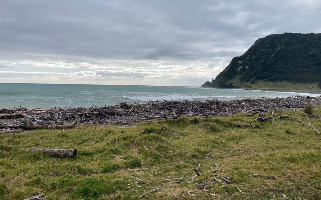 Te Araroa on the East Cape