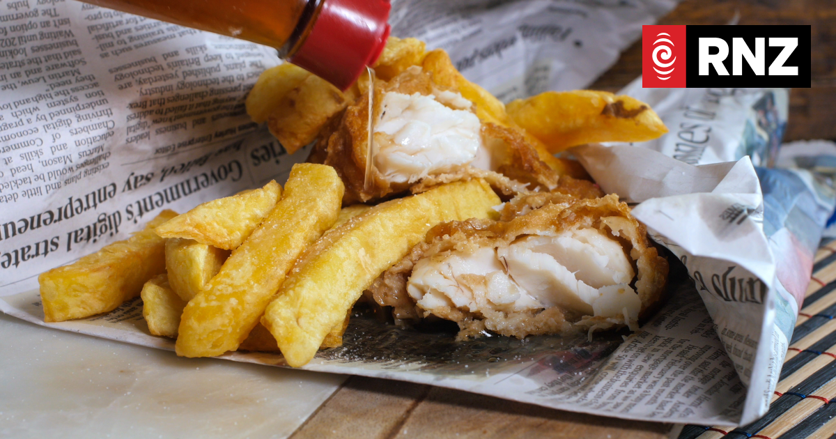 How to eat more New Zealand-caught fish for less - Vimarsana News