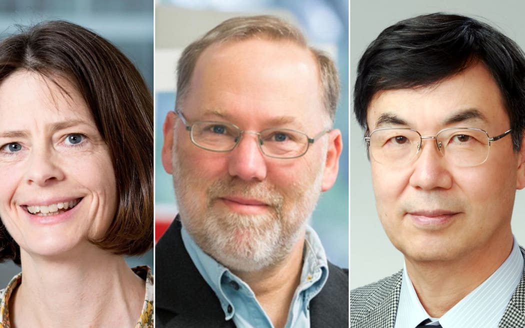 Mary E. Brunkow, Fred Ramsdell and Shimon Sakaguchi won the Nobel Prize in medicine.