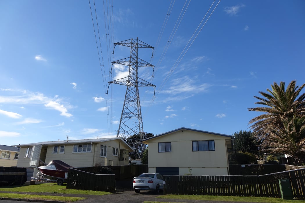 New Plymouth power pylon