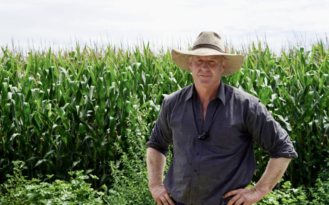 Jonty Moffett in front of his corn crop.