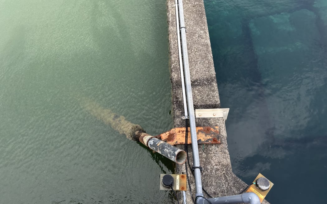 A photo shows the comparison between dirty water and clarified water, where the clarified water is already looking crystal clean.