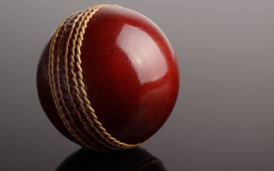 cricket ball