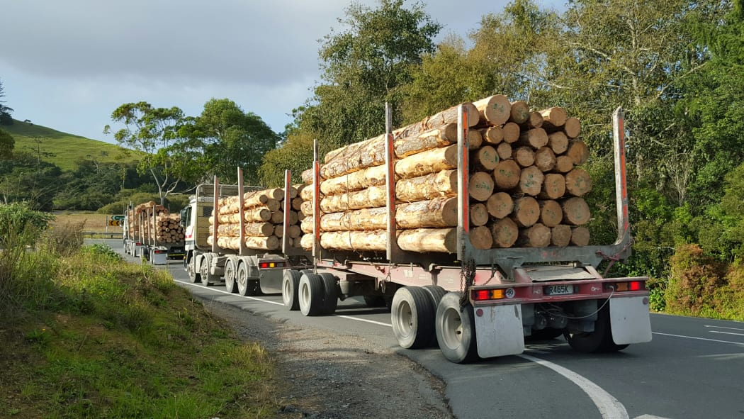 A log truck with multiple trailors heading for Northport, Northland