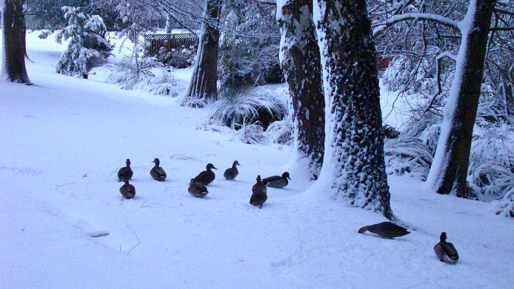 Snow in Christchurch, New Zealand