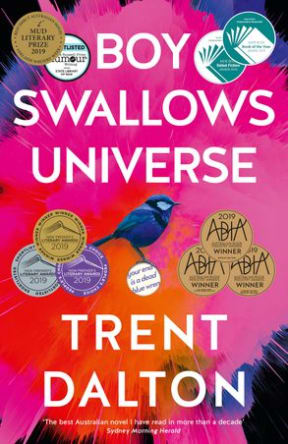 Boy Swallows Universe book cover