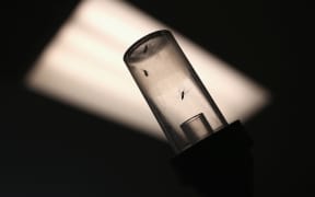 Mosquitos caught for testing for the Zika virus await shipment to a lab on 14 April 2016 in McAllen, Texas.