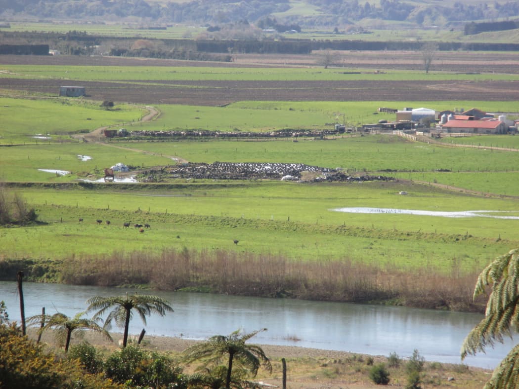 The site where the battle took place - where Te Tarata Pā once stood.