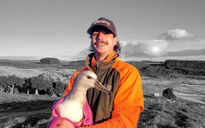 Chatham Islands DOC Ranger Kayne holding a young hōpo/toroa a