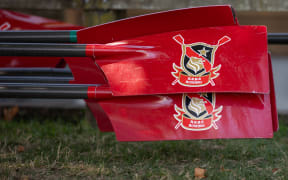 Rowing oars for the Hamilton Boys High School team bearing the schools coat of arms.
