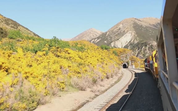 Tranz Alpine Express