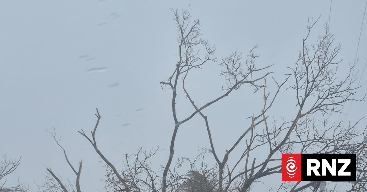 El Niño could bring up to five more typhoons to Marianas this year