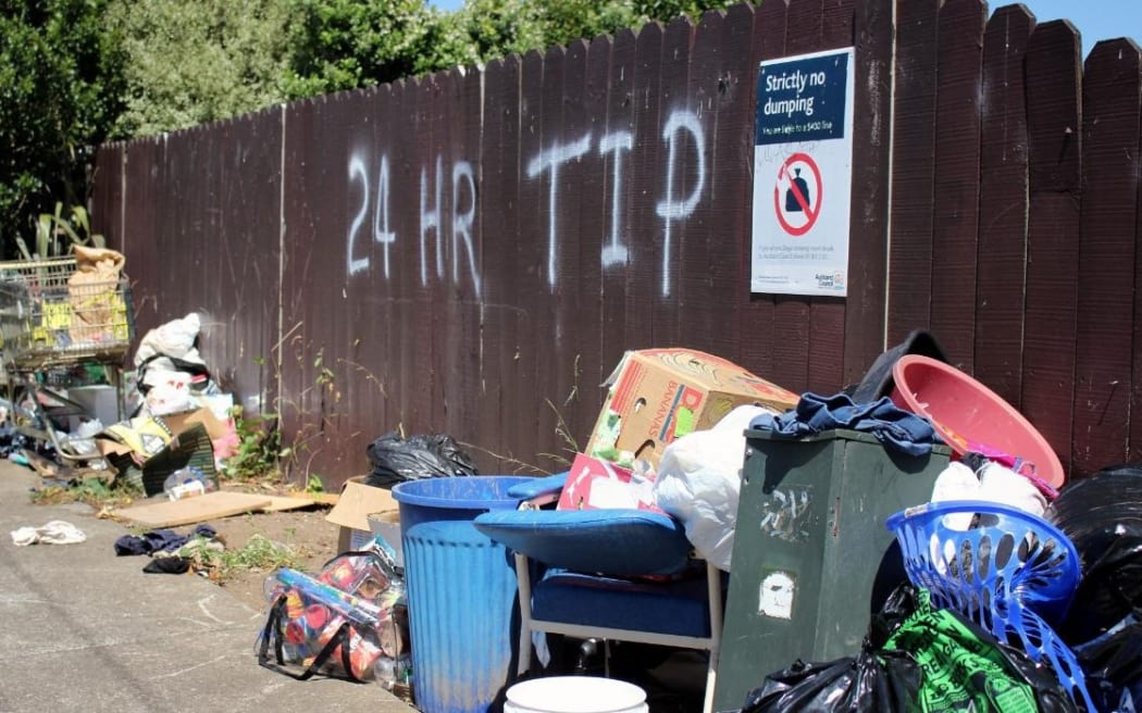 (File image) Ratepayers are forking out millions for cleanups of illegal dumping. (EMILY FORD/STUFF) SINGLE USE