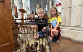 Portrait of two children with three ducklings.