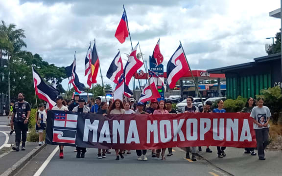 The hīkoi makes its way through Kerikeri on Wednesday morning.