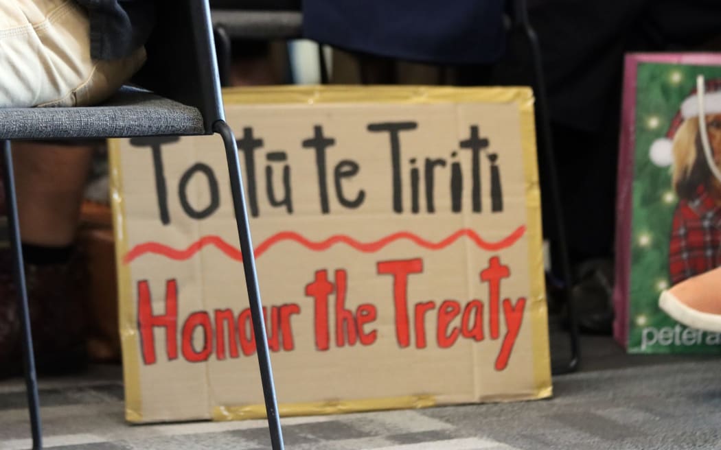 A supporter for reinstating tangata whenua representatives to council committees brought a Toitū te Tiriti sign to last year's meeting.