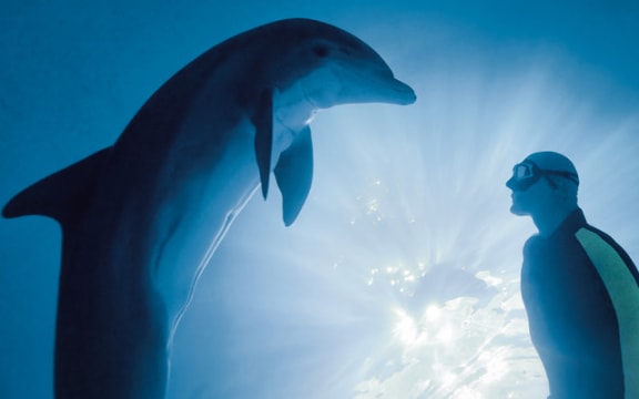 Freediver, Stig Severinsen