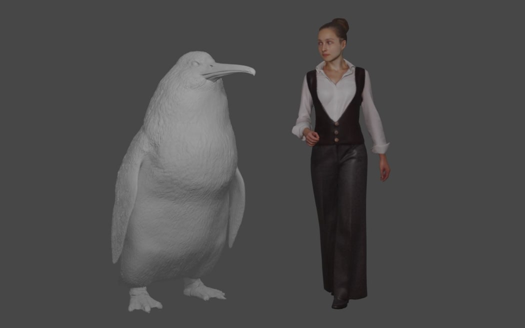 The fossilised bones of the huge penguin Crossvallia waiparensis were found in Waipara, Canterbury.