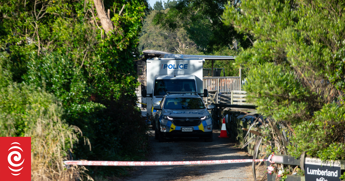 Watch: Police discuss murder-suicide of three children and father in Sanson fire