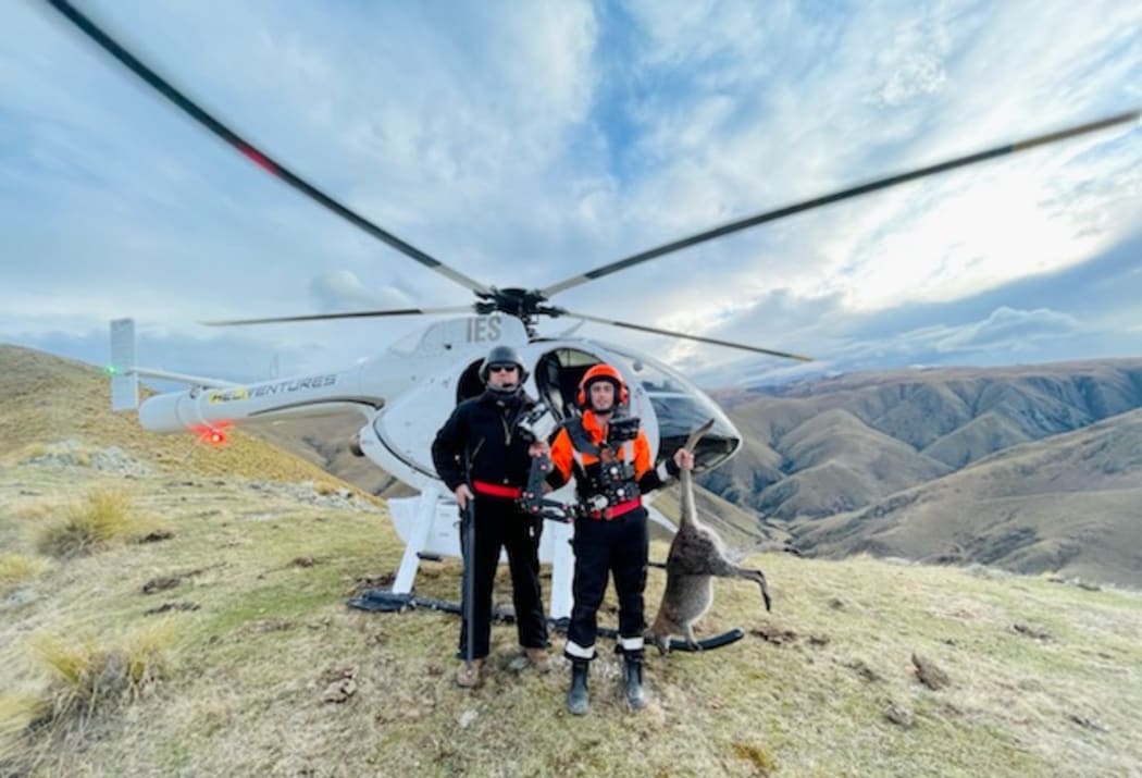 Contractors from Heliventures and thermal imagery operator Trap and Trigger with the wallaby killed in the Kakanui Mountains.