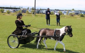 Ellesmere A&P Show