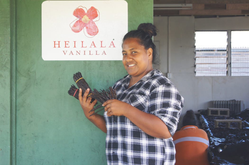 Heilala Vanilla ‘Eua Manager Sela Latu pictured with 2017 harvest vanilla beans.
