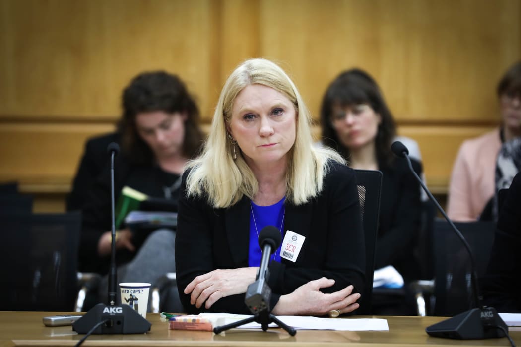 Law Commissioner Belinda Clark speaks to the Abortion Legislation Committee at Parliament