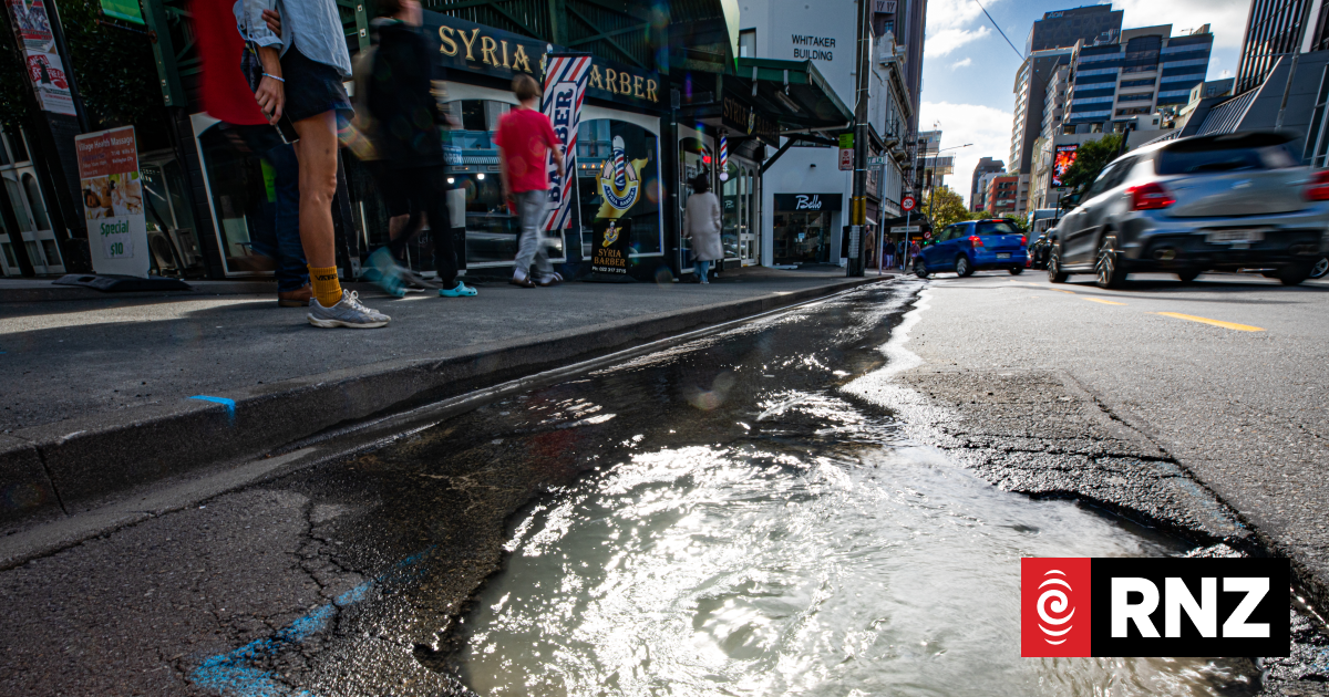 Wellington water woes: 'A price which is not in the plan'
