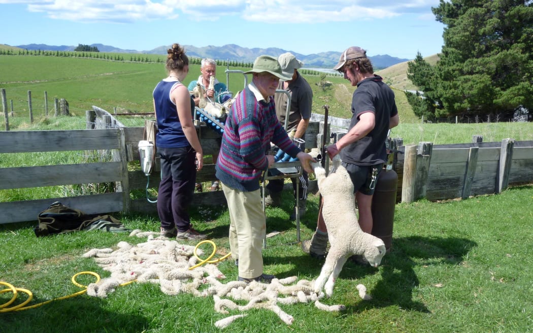 A group of farmers are tailing lambs in North Canterbury, one lamb is jumping away while another is laid on the contraption. A pile of docked tails lay to the side.