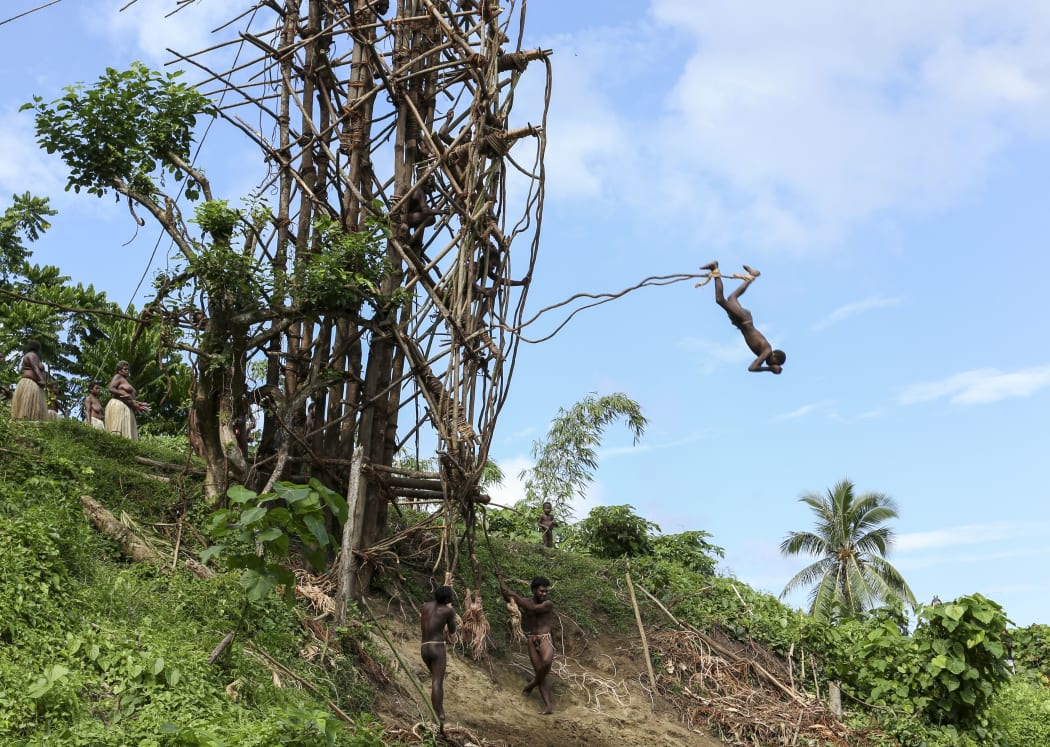 Traditional land diving ritual (Nangol) with vines tied to their feet, origin of modern Bungee Jumping, EDITORIAL