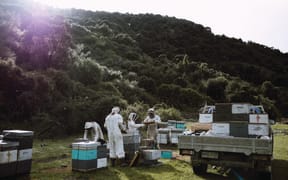 "Farming is really hands-on, and veterinary tech work is really detail-oriented. Beekeeping is a good mix of both."