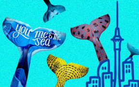 Whale Tales